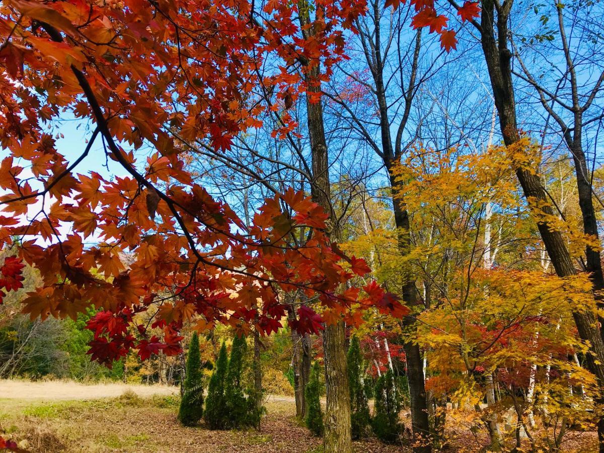 Hakuba Canadian Lodge Eksteriør bilde