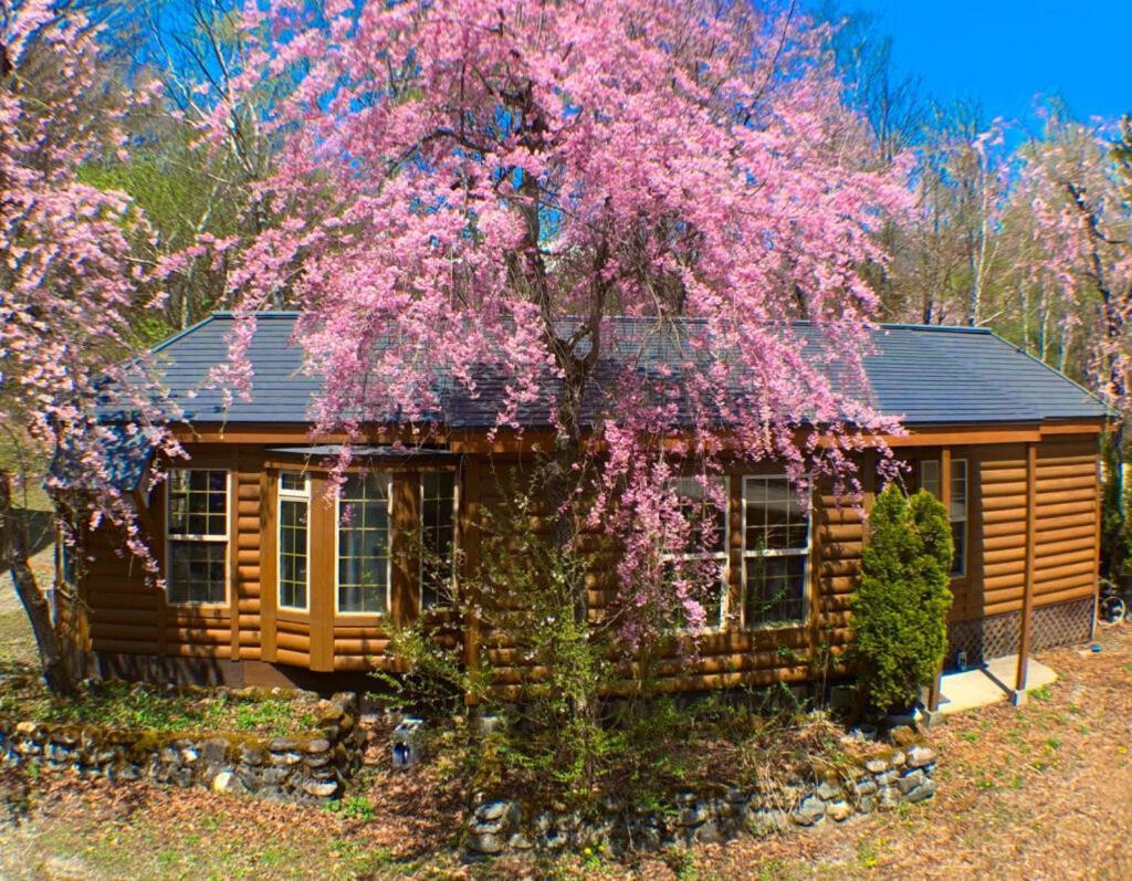 Hakuba Canadian Lodge Eksteriør bilde