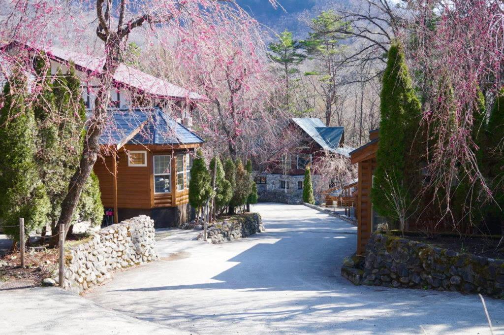 Hakuba Canadian Lodge Eksteriør bilde