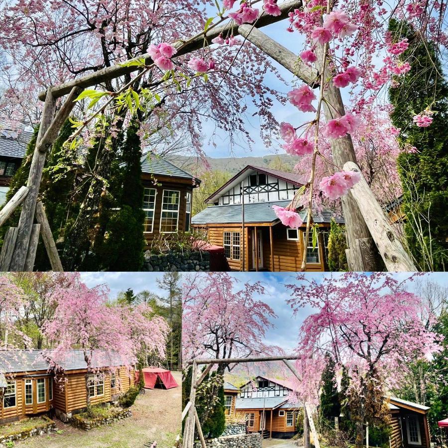 Hakuba Canadian Lodge Eksteriør bilde